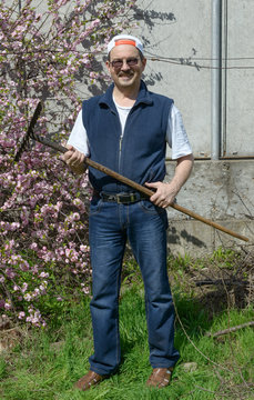Man is standing with rake near flowering Prunus triloba bush.