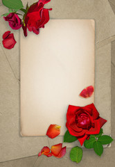 Dark red roses and petals on the old paper. Grunge card. Place for text. Flat lay