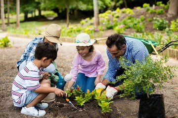 Happy family gardening together