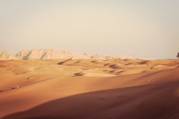 Fototapeta na wymiar Dubai desert pictures