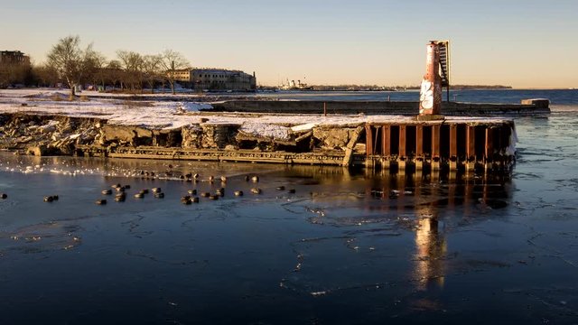 Swimming ducks in sea at freezing winter time