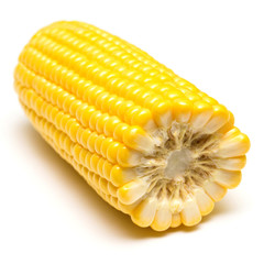 One corn isolated on white background. Top view, flat