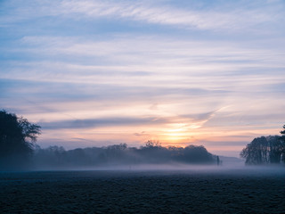 Beautiful sunrise over misty field