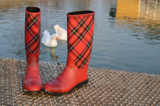 Red rubber boots with tartan motive, on the river dock with wild geese