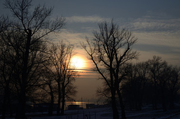 Obraz premium Sunset over the river and trees on its bank on a winter day