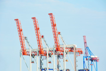 Port cargo crane