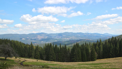 Fototapeta na wymiar Spring landscape in the Carpathian mountains