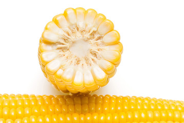 A corn is isolated on white background. Flat lay, top view