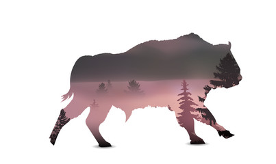 Silhouette of running bull with panorama of mountains and pine forest. Lights of sunset. Thick fog.