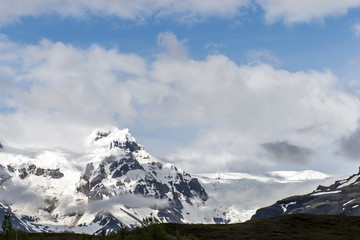 Landscape Iceland green grass snow glacier 6
