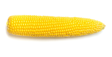 One corn isolated on white background. Top view, flat