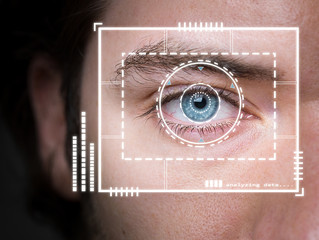 Biometric security scan  