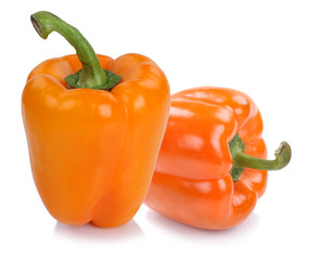 Paprika Paprikas orange frisch Gemüse Freisteller freigestellt