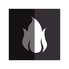fire flame isolated icon vector illustration design