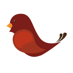 cute bird isolated icon vector illustration design