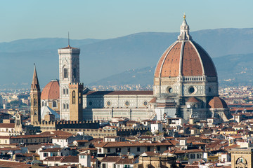 Fototapeta na wymiar Duomo - Brunelleschi's Cathedral Dome in Florence
