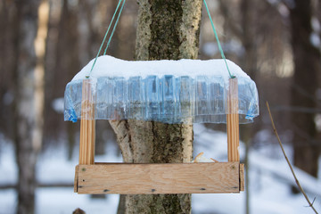 Tree house for feeding birds in winter with bread pieces