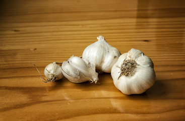 Garlic