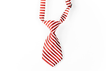 Diagonal Striped Tie