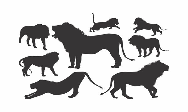 set of lion silhouette vector illustration