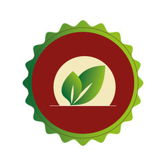 colorful circular frame with red background with leaves vector illustration