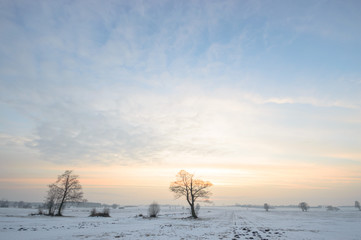 blue sky