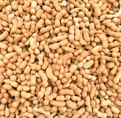 Tamarind combined squadrons for sale.

