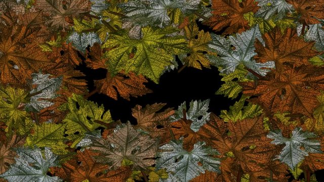 Animacion con hojas de parra con peciolo y efecto de colores metalizados. Brotando desde los bordes hacia el interior hasta cubrir la pantalla. Con canal Alpha