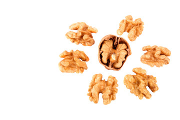 Walnuts without shells isolated on white background