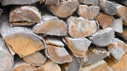 Fototapeta premium firewood logs