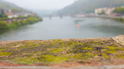 closeup the moss on the rail bridge with blur river background