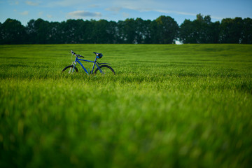 Bicycle on grass field in the morning