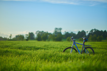 Fototapeta na wymiar Bicycle on grass field in the morning