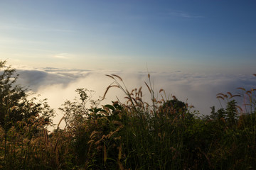 Sunrise and fog over Phu Thok Mountain at Chiang Khan ,Loei Prov - 136391211