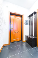 Hallway in modern style and the main door
