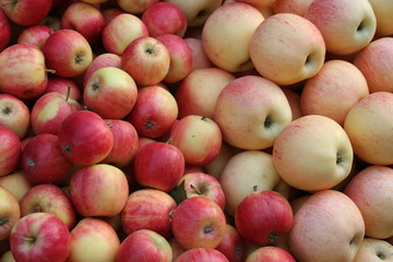 Many red apples taken at a fruit stall