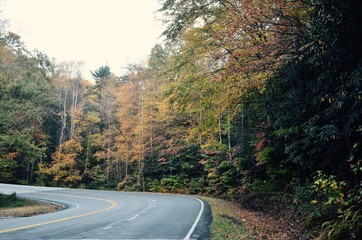 View of a winding mountain road with trees in fall season with colorful leaves turning color shot in daylight, landscape composition