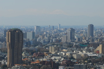 Fototapeta na wymiar Tokyo iron tower
