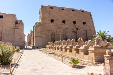 Ägypten Luxor Tempel
