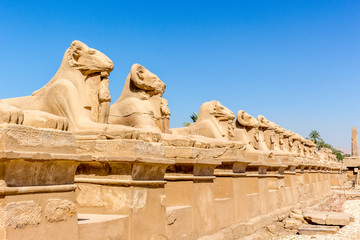 Naklejka premium Ägypten Luxor Sphinx