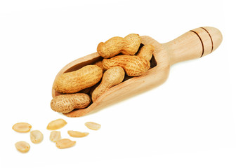 Pile of dry roasted peanuts in scoop isolated on white background. Closeup.
