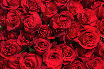 Colorful flower bouquet from red roses for use as background. Closeup.