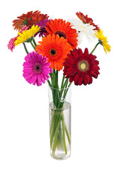 Bouquet from multi colored gerbera flowers in glass vase arrangement centerpiece isolated on white background.