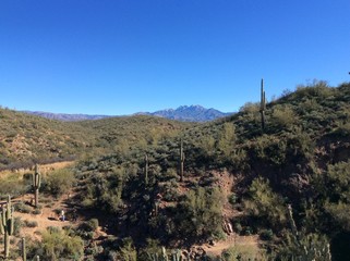 Fototapeta na wymiar Desert hiking trail mountains saguaros