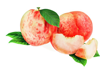 Fresh peach fruits with cut and green leaves isolated on white background. Closeup.