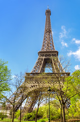 Paris, Eiffel tower on a bright day in Spring