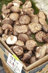 Aoyama Farmer¡¯s Market UNU