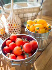 Holland Cherry Tomato in metal bucket placed on wood table selec