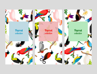 Parrot flyers collection with birds patterns. Vector illustration