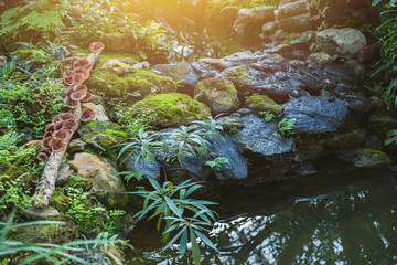 rain forest water pond garden home decoration.